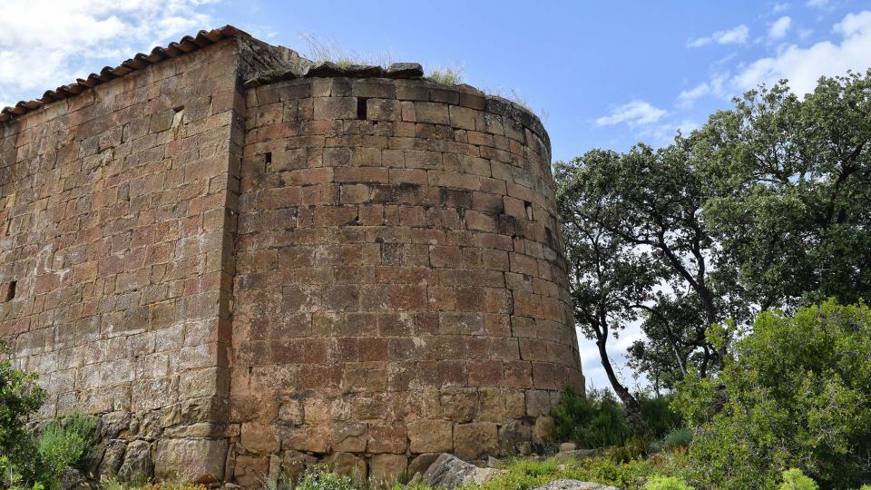 10.6.2018 Sant Salvador del Coll  L'Aguda -  Ramon Sunyer