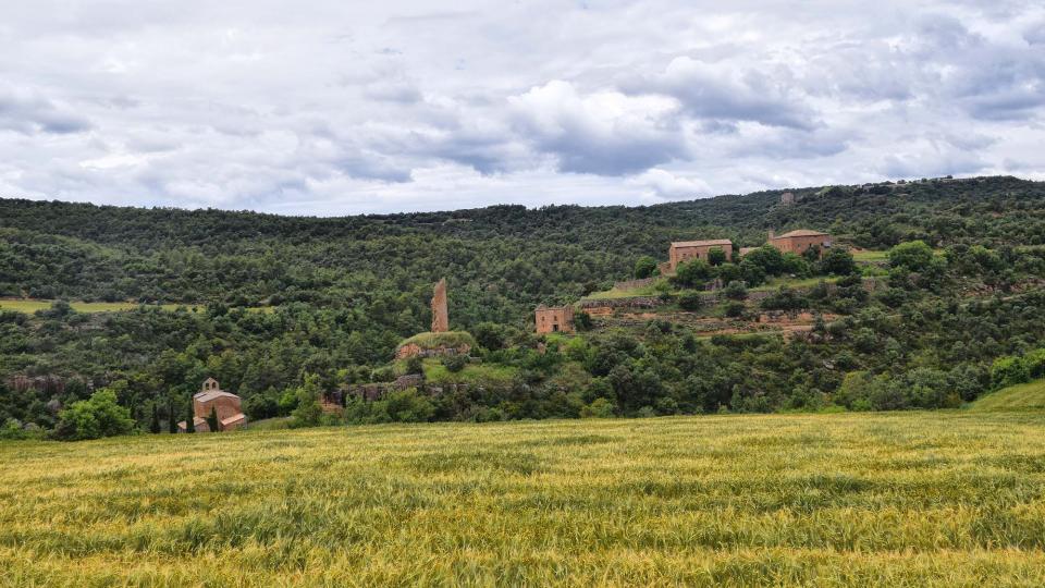 3 de Juny de 2018 Vista del poble  Sallent -  Ramon Sunyer