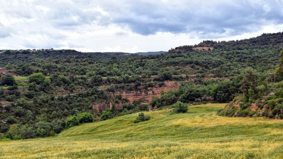 Paisatge 3 de Juny de 2018 Paisatge Sallent - Ramon Sunyer