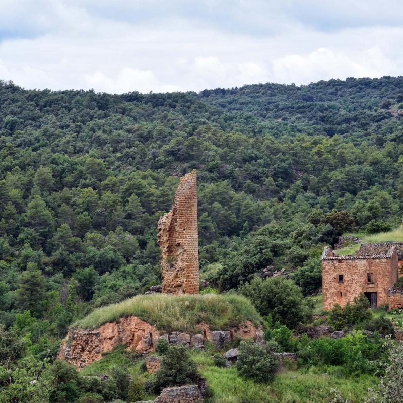 3 de Juny de 2018 Torre  Sallent -  Ramon Sunyer