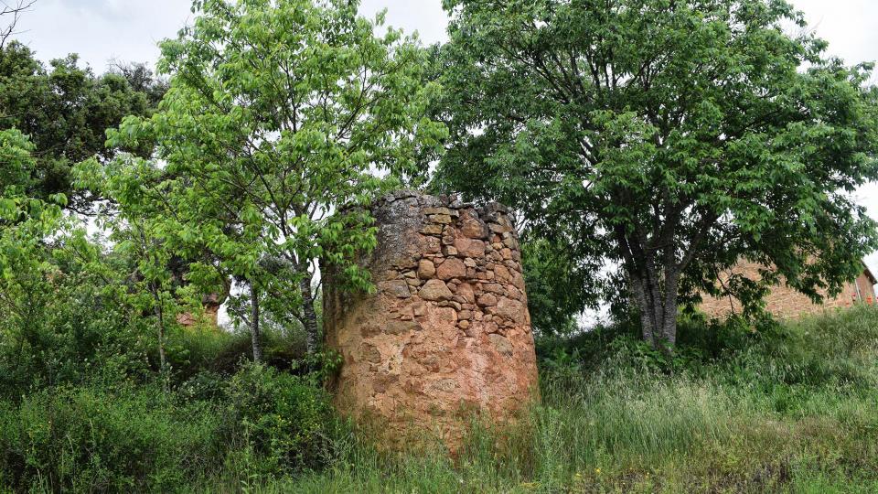 3 de Juny de 2018 Pou  Sallent -  Ramon Sunyer