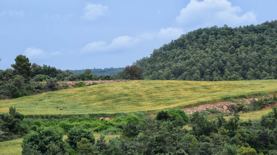 paisatge 3 de Juny de 2018 paisatge Sallent - Ramon Sunyer