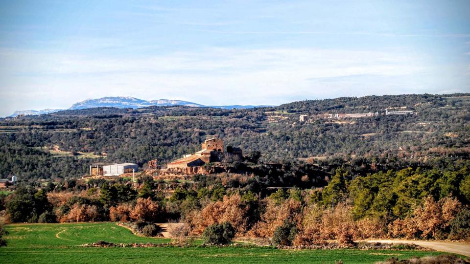 27 de Desembre de 2015 Mas Cucurulls  Sallent -  Ramon Sunyer