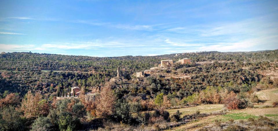 27 de Desembre de 2015   Sallent -  Ramon Sunyer