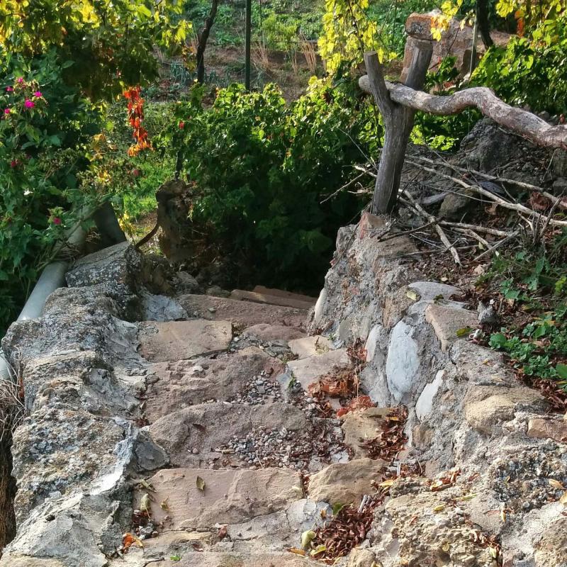 10 de Octubre de 2015   Pinell de Solsonès -  Ramon Sunyer