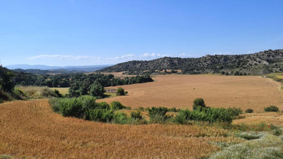 17.6.2018 Els Camats  Sanaüja -  Ramon Sunyer