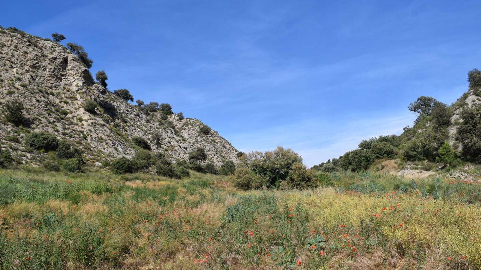 17.6.2018 Font dels Camats  Sanaüja -  Ramon Sunyer