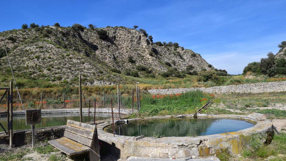 17.6.2018 Font dels Camats  Sanaüja -  Ramon Sunyer