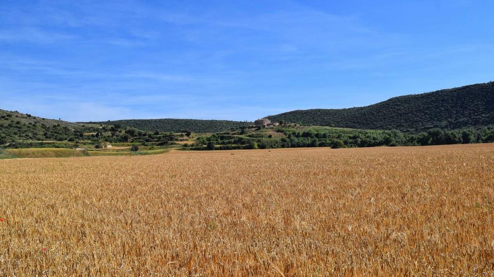 17 de Juny de 2018 Els Camats  Sanaüja -  Ramon Sunyer