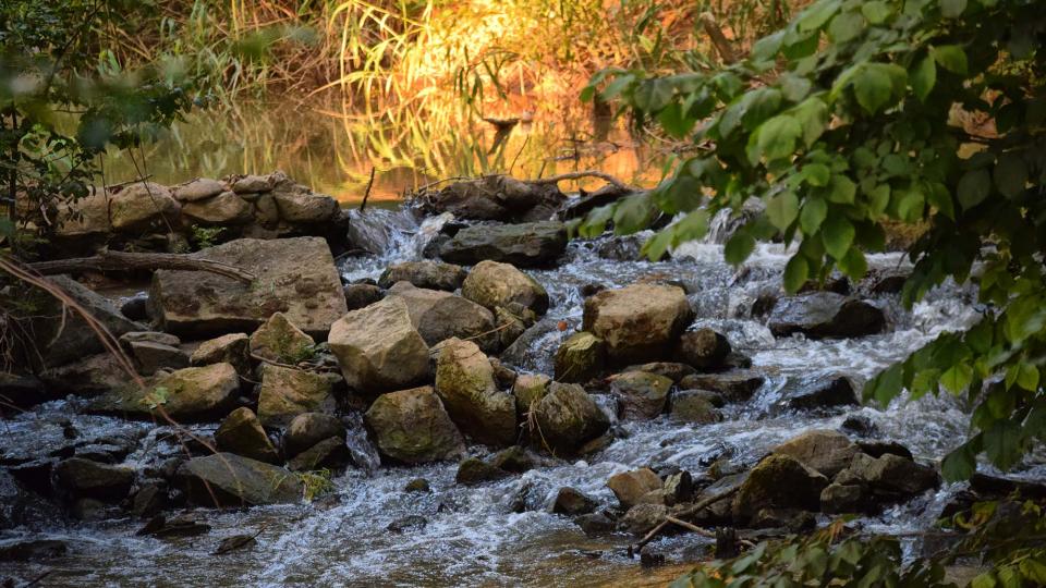 7.7.2018 Passejant pel Llobregós  Sanaüja -  Ramon Sunyer