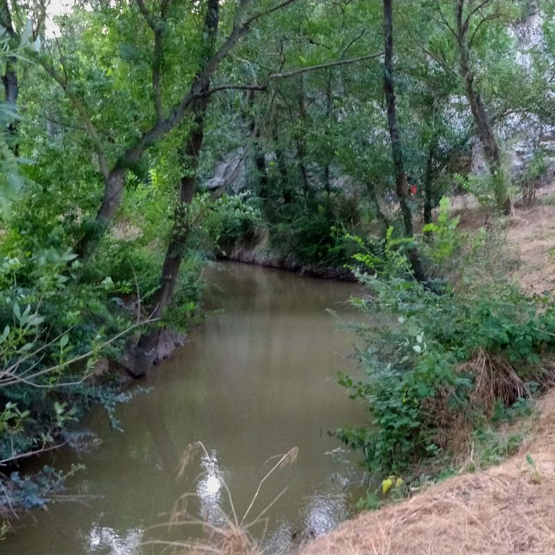 7.7.2018 Passejant pel Llobregós  Sanaüja -  Ramon Sunyer