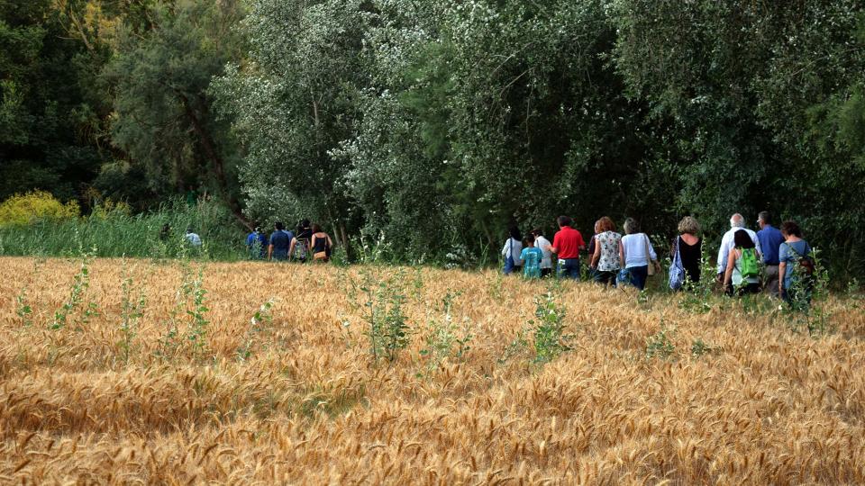 7 de Juliol de 2018 Passejant pel Llobregós  Sanaüja -  Ramon Sunyer