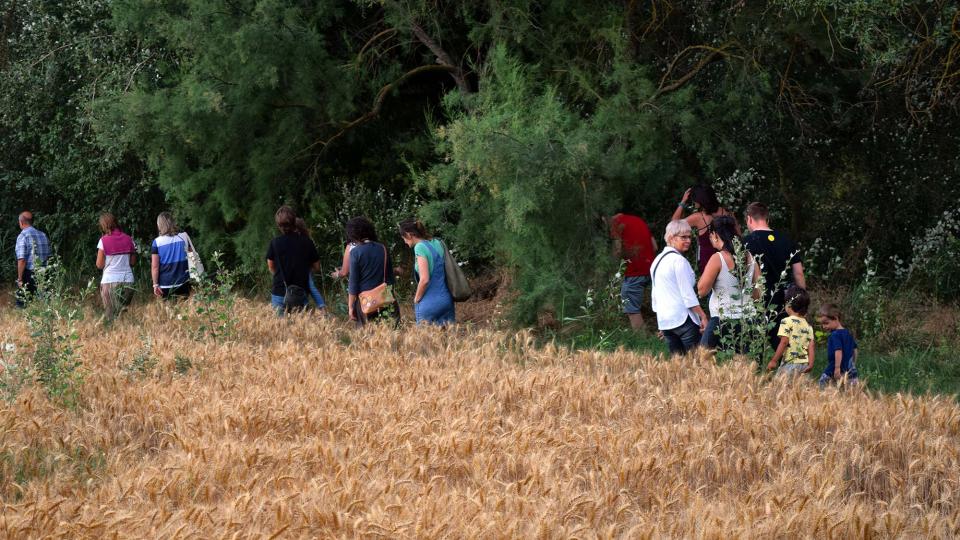 7.7.2018 Passejant pel Llobregós  Sanaüja -  Ramon Sunyer