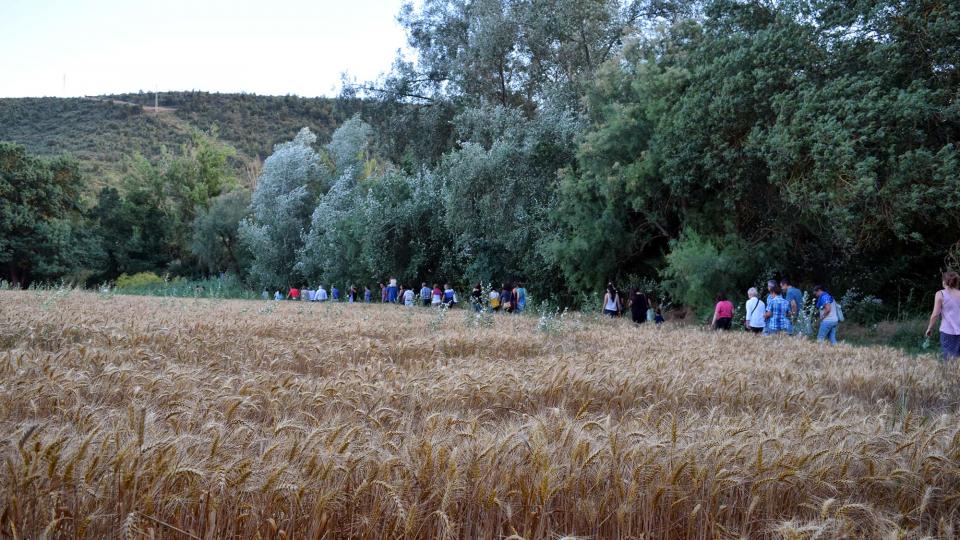 7 de Juliol de 2018 Passejant pel Llobregós  Sanaüja -  Ramon Sunyer