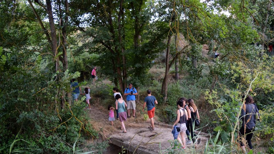 7 de Juliol de 2018 Passejant pel Llobregós  Sanaüja -  Ramon Sunyer