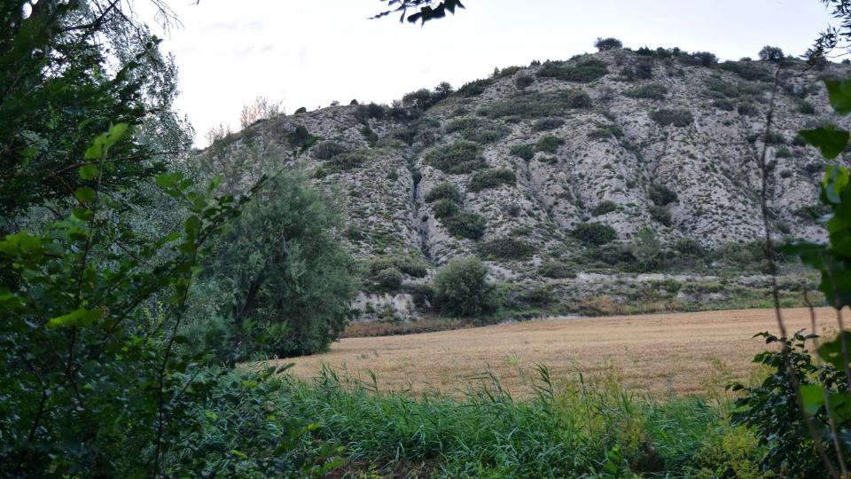 7.7.2018 Passejant pel Llobregós  Sanaüja -  Ramon Sunyer