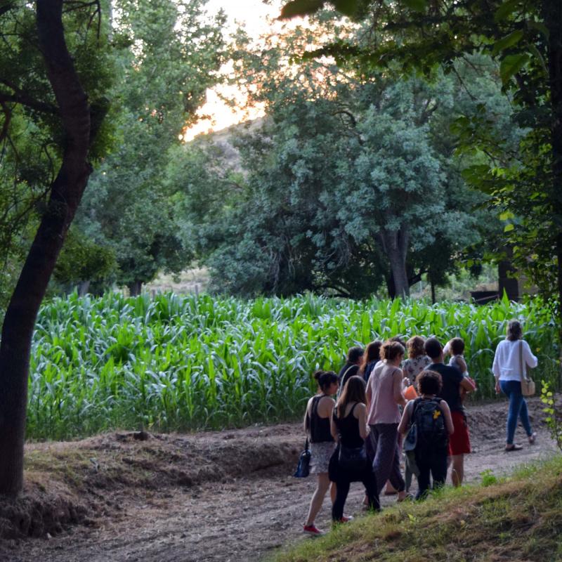 7 de Juliol de 2018   Sanaüja -  Ramon Sunyer