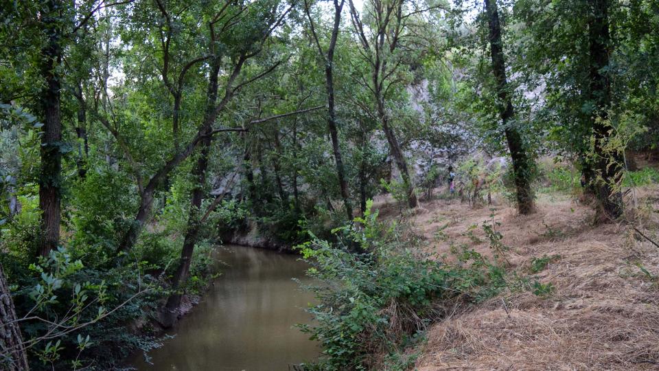 7.7.2018 Passejant pel Llobregós  Sanaüja -  Ramon Sunyer