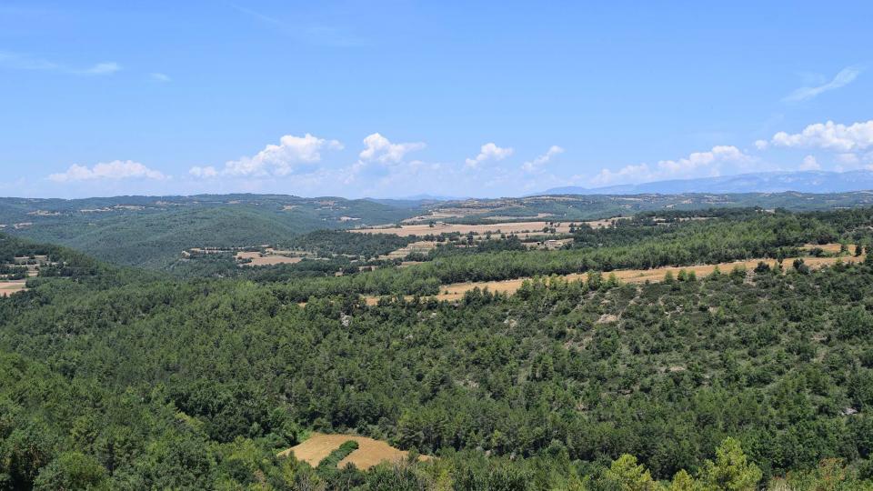 8 de Juliol de 2018   Ardèvol -  Ramon Sunyer