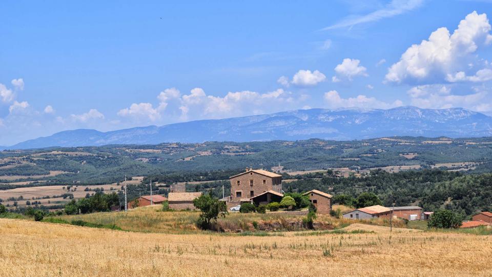 8 de Juliol de 2018 mas  Ardèvol -  Ramon Sunyer