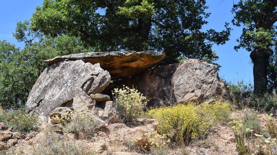 8 de Juliol de 2018 Dolmen del collet de Su  Ardèvol -  Ramon Sunyer