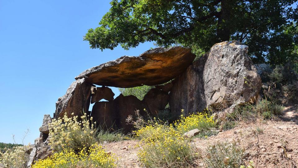 8 de Juliol de 2018 Dolmen del collet de Su  Ardèvol -  Ramon Sunyer