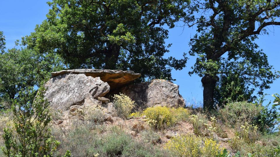 8 de Juliol de 2018 Dolmen del collet de Su  Ardèvol -  Ramon Sunyer