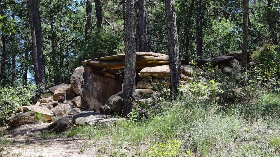 8 de Juliol de 2018 Dolmen de la Pera  Ardèvol -  Ramon Sunyer