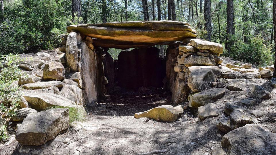 8 de Juliol de 2018 Dolmen de la Pera  Ardèvol -  Ramon Sunyer