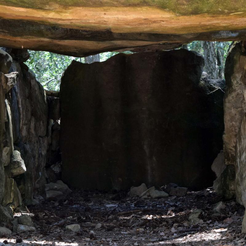 8 de Juliol de 2018 Dolmen de la Pera  Ardèvol -  Ramon Sunyer