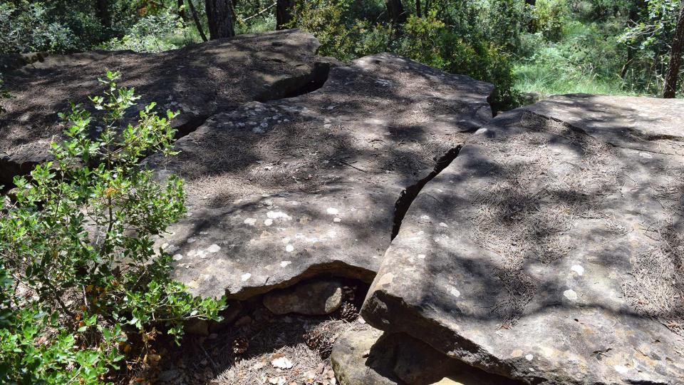 8 de Juliol de 2018 Dolmen de la Pera  Ardèvol -  Ramon Sunyer