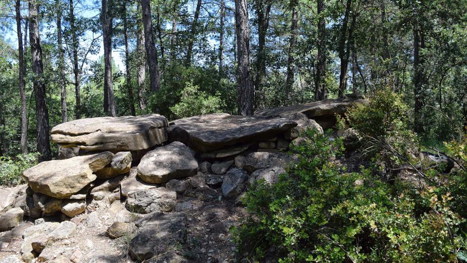 8 de Juliol de 2018 Dolmen de la Pera  Ardèvol -  Ramon Sunyer