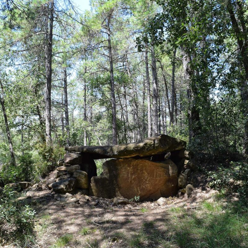 8 de Juliol de 2018 Dolmen de la Pera  Ardèvol -  Ramon Sunyer