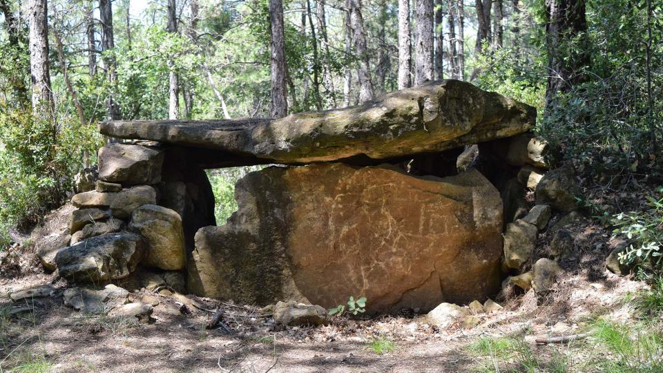 8 de Juliol de 2018 Dolmen de la Pera  Ardèvol -  Ramon Sunyer