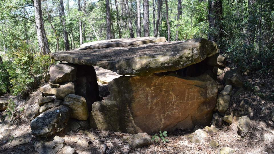 8 de Juliol de 2018 Dolmen de la Pera  Ardèvol -  Ramon Sunyer