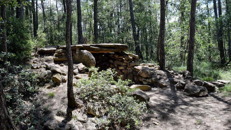 8 de Juliol de 2018 Dolmen de la Pera  Ardèvol -  Ramon Sunyer