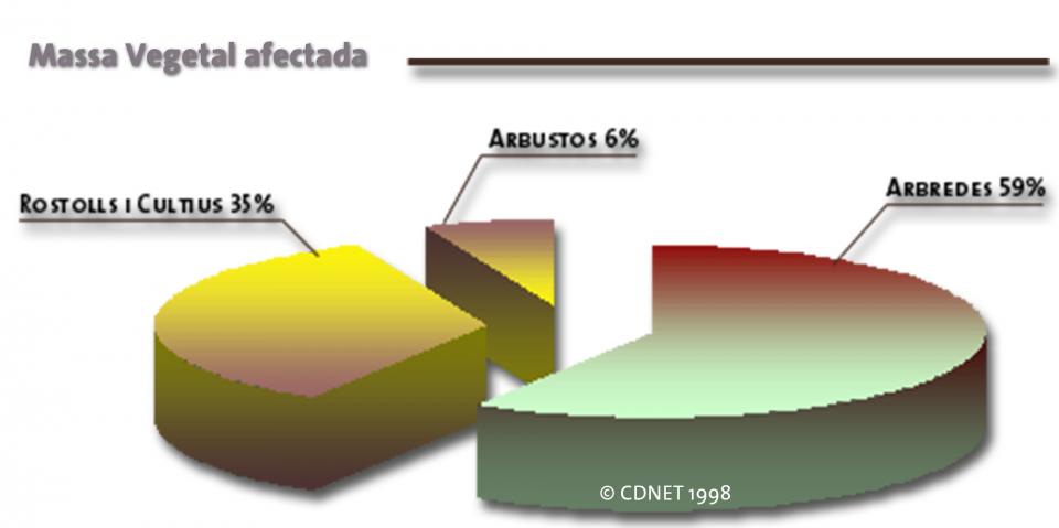 28 de Juliol de 1998 Massa forestal afectada  -  cdnet