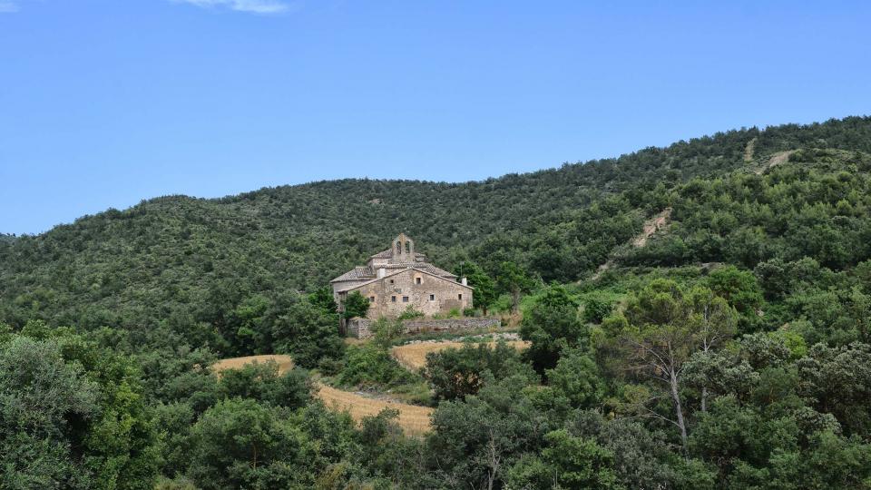 18 de Juliol de 2018 Vista de la zona del monestir 20 anys després dels focs  Cellers -  Ramon Sunyer