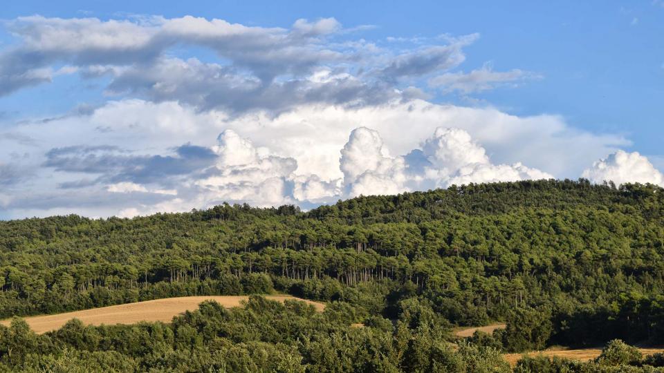 22 de Juliol de 2018   Prades de la Molsosa -  Ramon Sunyer