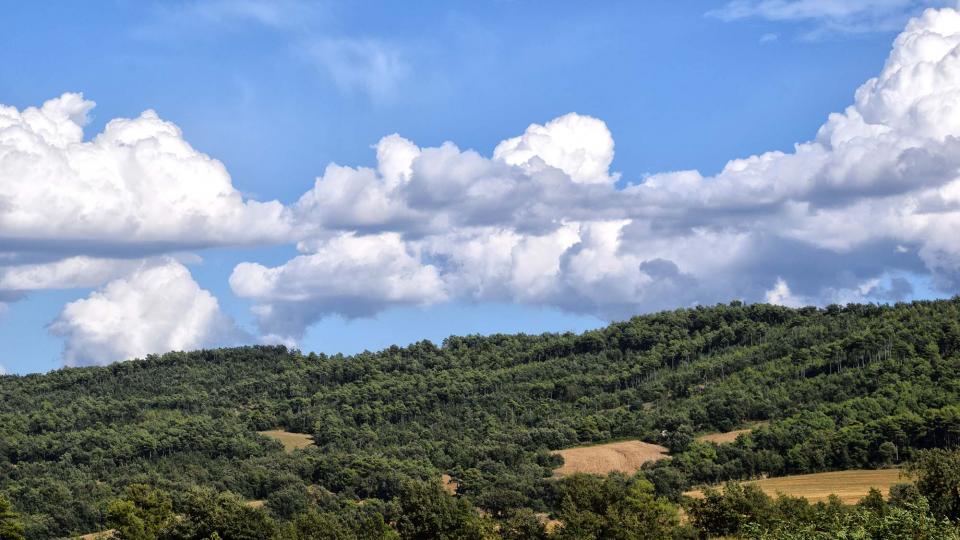 22 de Juliol de 2018   Prades de la Molsosa -  Ramon Sunyer