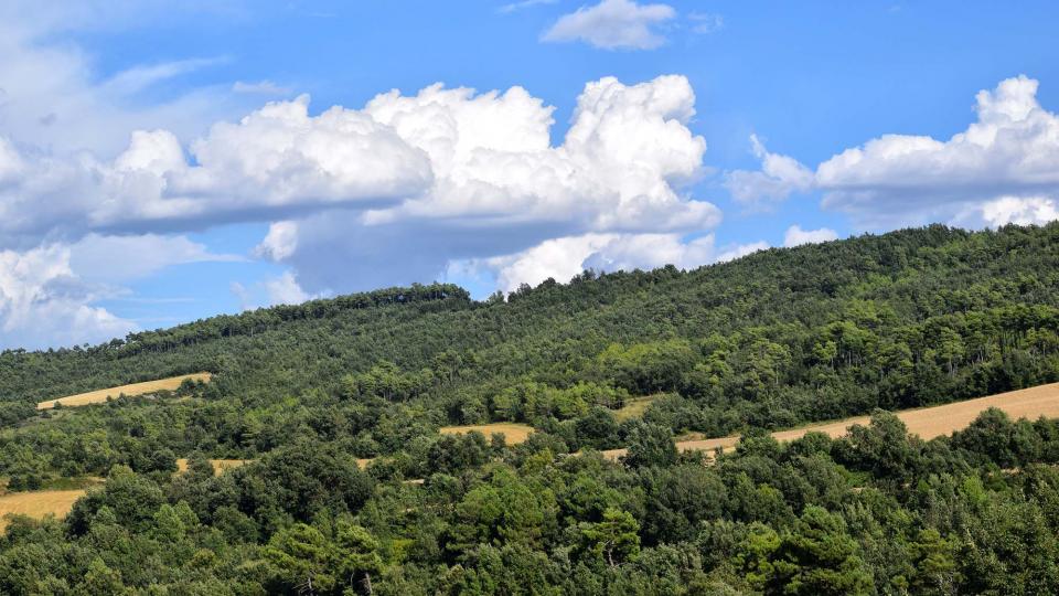 22 de Juliol de 2018   Prades de la Molsosa -  Ramon Sunyer