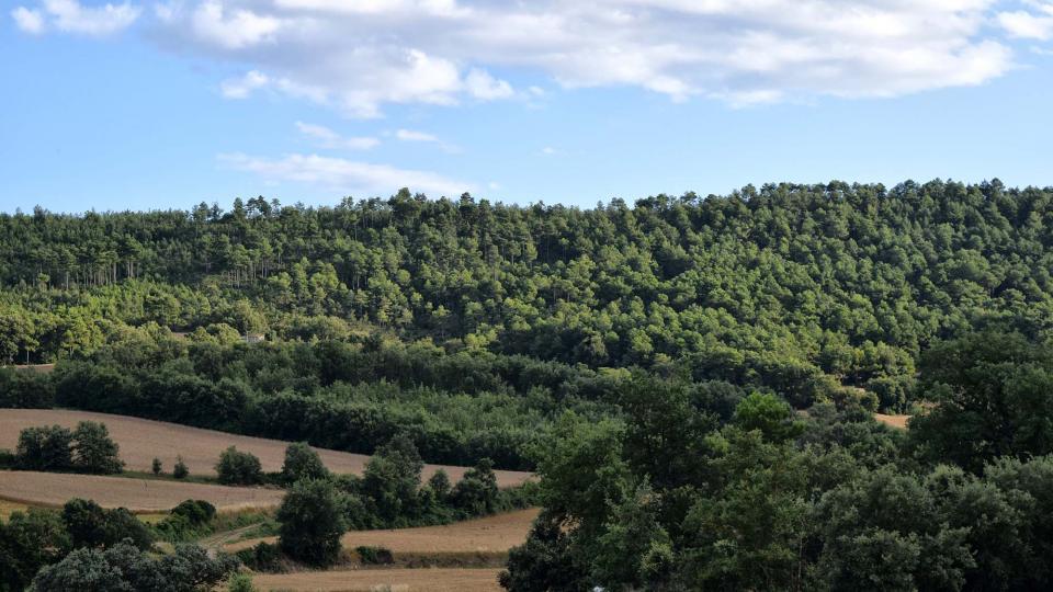 22 de Juliol de 2018   Prades de la Molsosa -  Ramon Sunyer