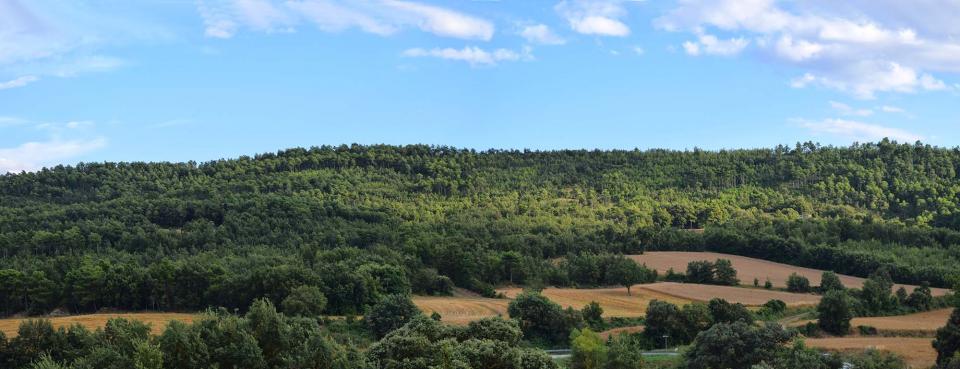 22 de Juliol de 2018   Prades de la Molsosa -  Ramon Sunyer