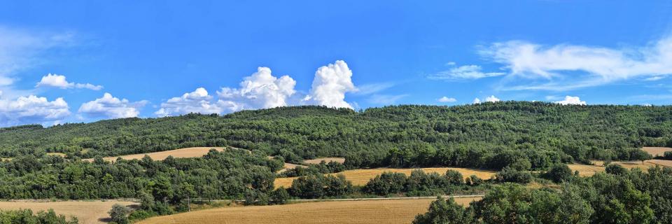 22 de Juliol de 2018   Prades de la Molsosa -  Ramon Sunyer