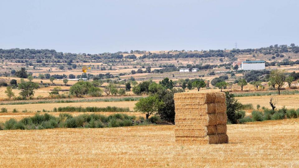 28 de Juliol de 2018   Massoteres -  Ramon Sunyer