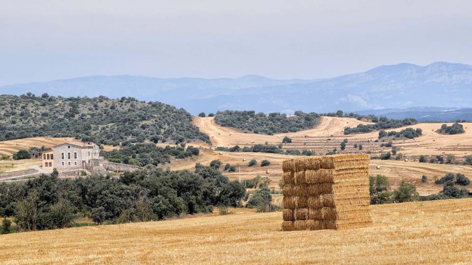 28 de Juliol de 2018   Massoteres -  Ramon Sunyer