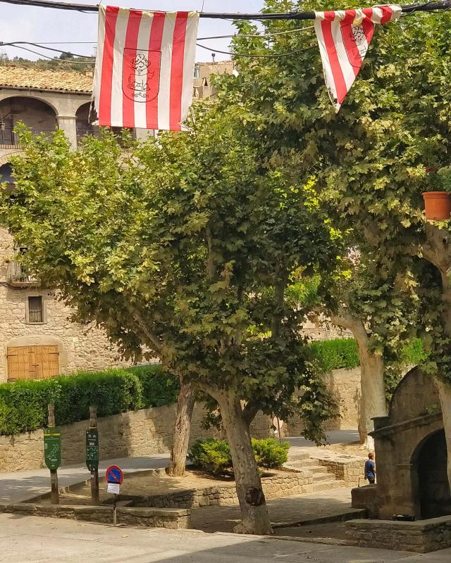 30 de Agost de 2018 Carrers del poble  Torà -  Ramon Sunyer