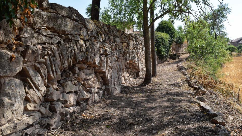 9 de Juliol de 2017 Aqüeducte dels Frares  Torà -  Ramon Sunyer