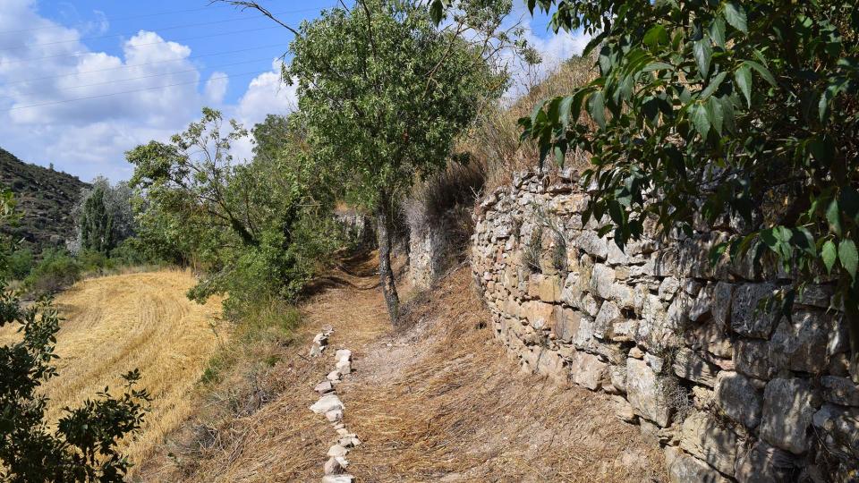 9.7.2017 Camí dels Tísics  Torà -  Ramon Sunyer