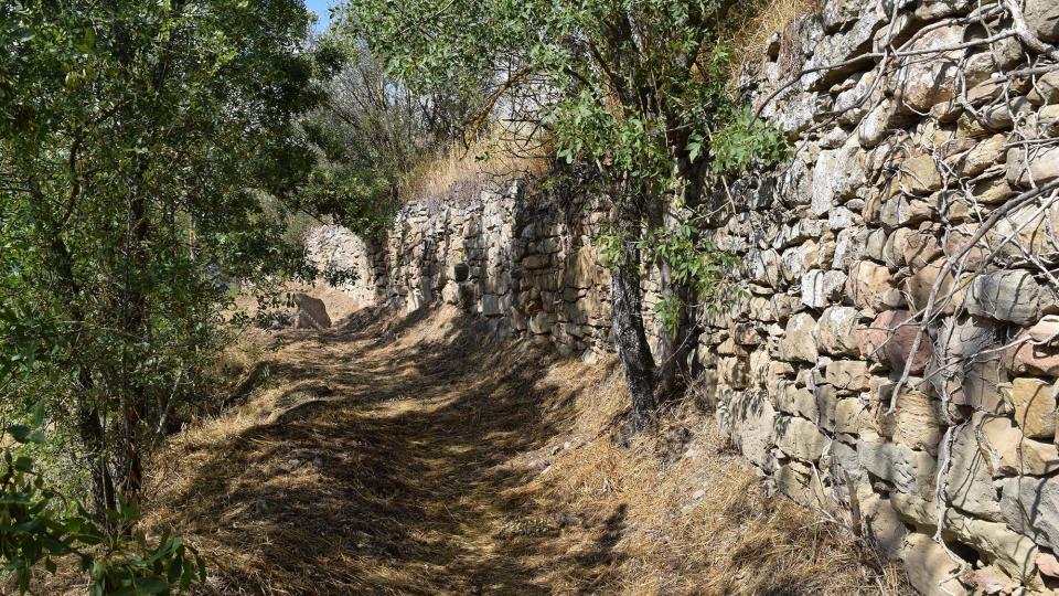 9.7.2017 Camí dels Tísics  Torà -  Ramon Sunyer